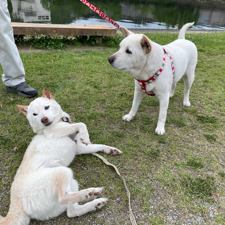 23af1657 42c9 457a b8d4 895b5ebc2d41 1654877800425