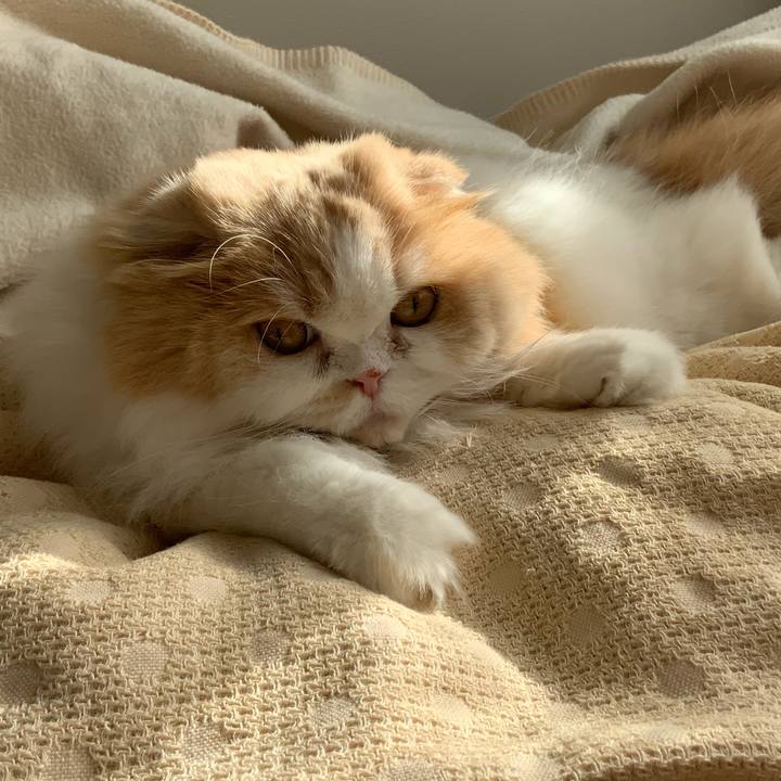 23af6e6d 55f7 462d 9b1f 0c99741da54b 1702434240862