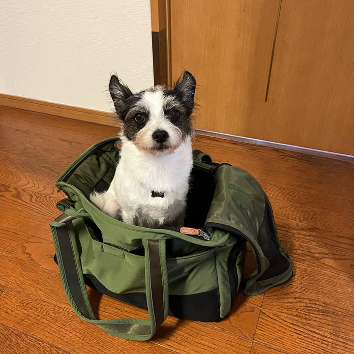 23af7e2b bbf1 422c a3b9 feaf570b17c6 1695443218972