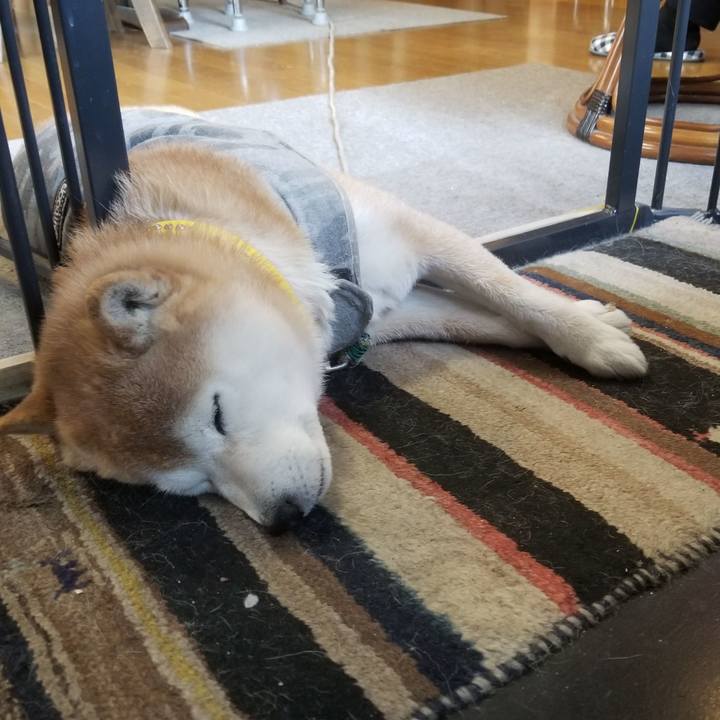 23af8a88 6f57 47e5 9b55 f55bf10dbf26 1677541388505