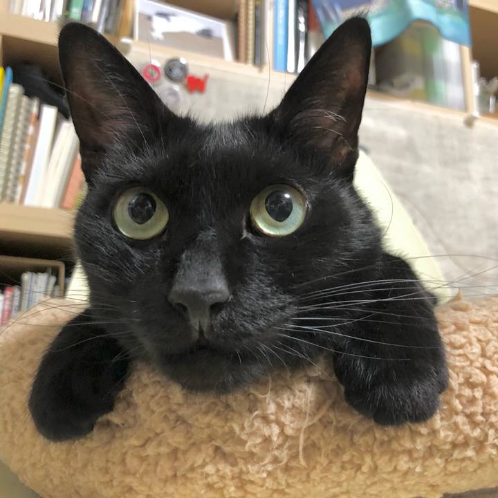 23af9a65 39f0 4f5f ba18 7047c2005d4b 1621774145149