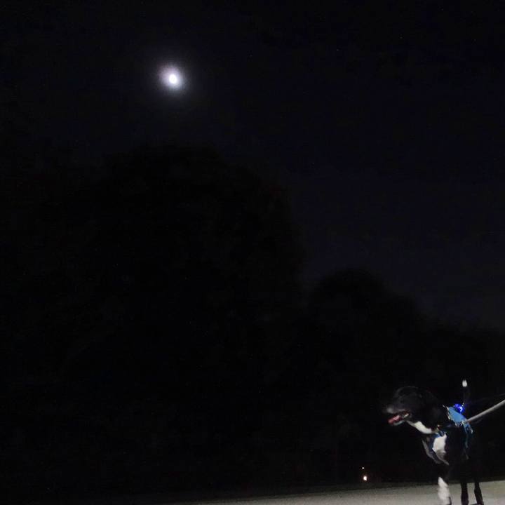 23afe8ad 44b0 43ff 9f10 7e0bab37b883 1698232080322