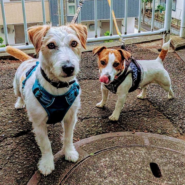 23afed34 e98f 4937 918c da45822bebbe 1748837495713