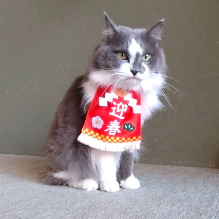 23b01e91 1ea7 47d6 b95a 5841ec80c947 1735694224113