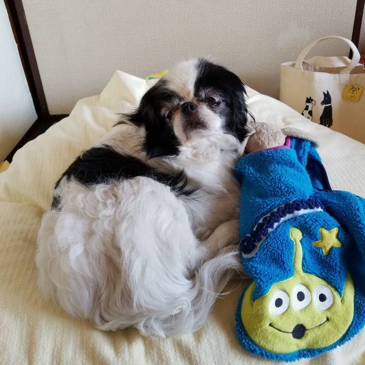 23b04cbd 2f74 4e51 acef 9cb13b548eb2 1525519057040