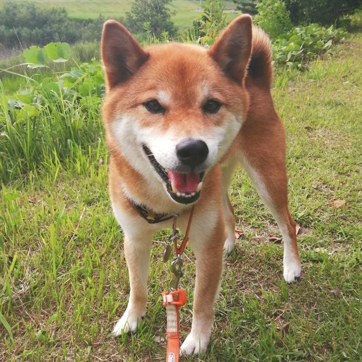 23b0ac08 f7cf 403f a609 4330a42e412a 1592985545995