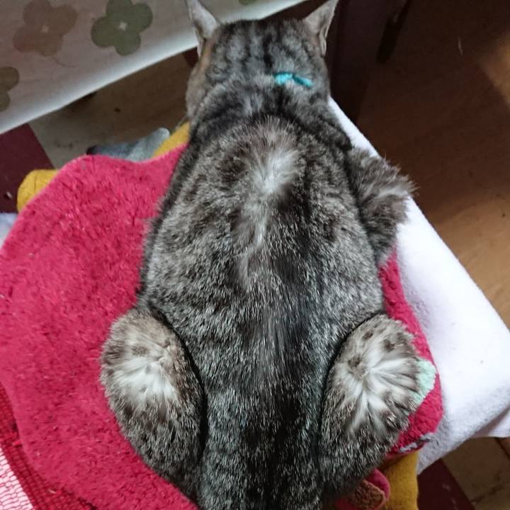 23b0aef5 d161 4a81 977e 9ea5410ca0b3 1551498124632