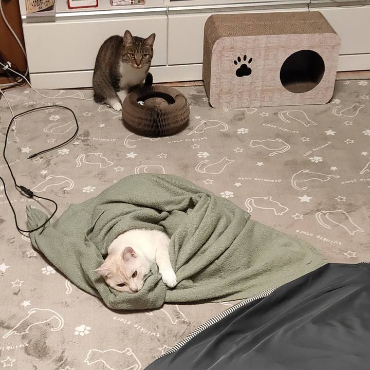 23b0e465 1fdf 4f78 8ac0 db5a474d5934 1666966803936