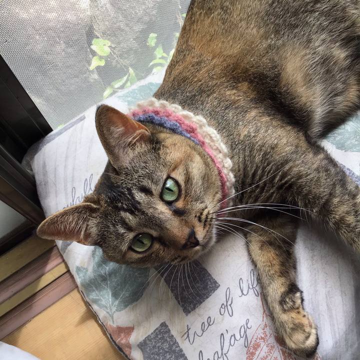 23b10597 23c3 467e aad8 bc22e209195d 1625624899459