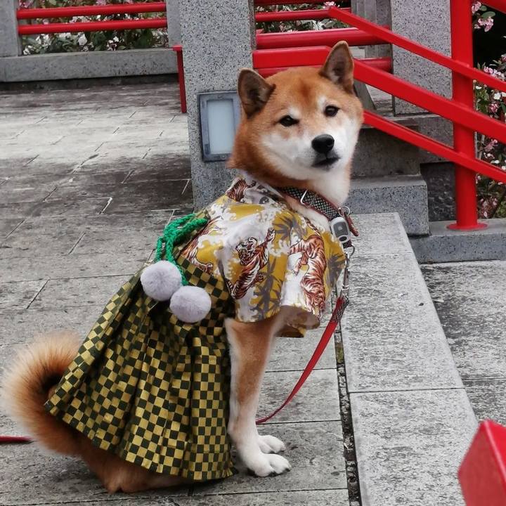 23b10650 10ec 4fe3 a88d 65519debf0f1 1638790692239