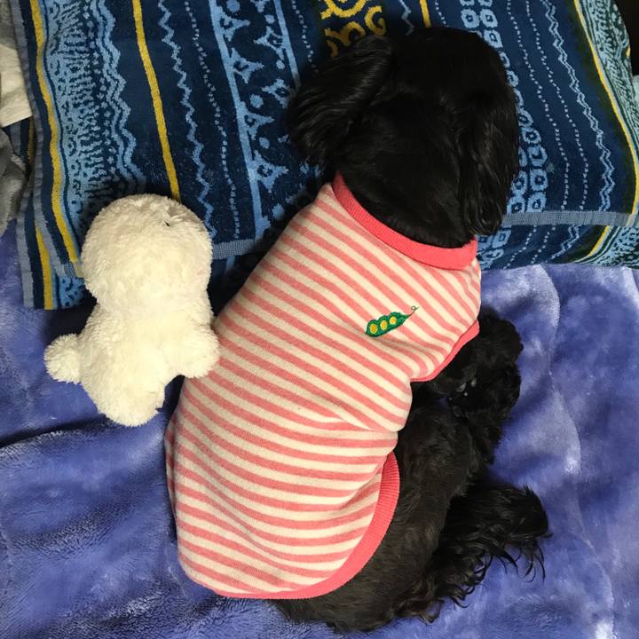 23b12982 8738 45b0 9b19 3897ca725541 1550295007836