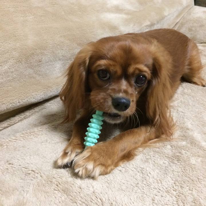 23b13b7a 6a72 44fb bec8 1f53ff7937b6 1512137164273