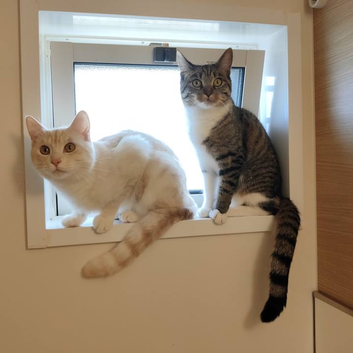 23b17939 b1f0 40a4 a03f 3960dcd784df 1653533807902