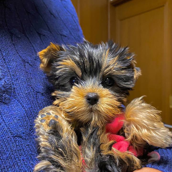 23b18175 a9c4 4566 8b1f 7a748d91d4ba 1615200126620