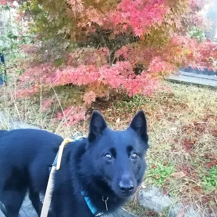 23b18e4a 51fa 400a a621 ad397efd99c3 1670277373906