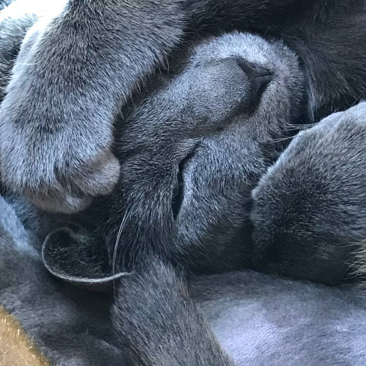 23b1ba64 4e20 4ef3 854a 18d40a747589 1518818769822