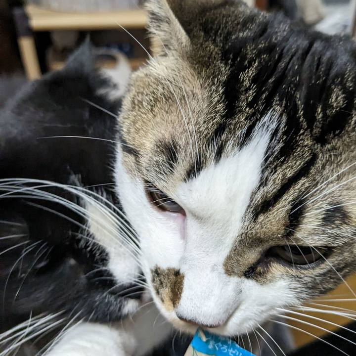 23b1bd84 b2dd 4148 9435 94cf8d5dfce3 1671015619190