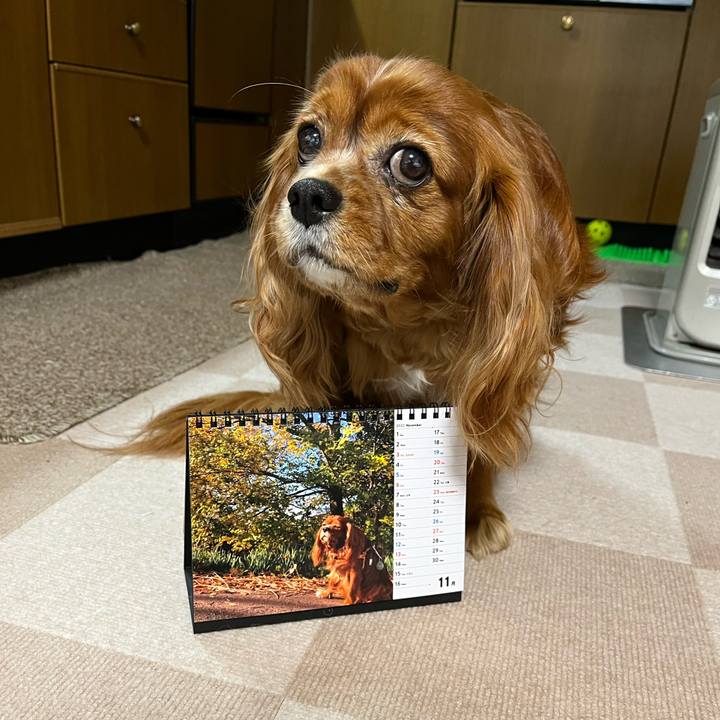 23b1d1f1 cb1f 4e18 8f1c f36c88721c25 1667254825405