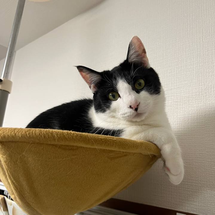 23b1d73e 1bf1 450b 98a8 08781ce388ec 1651573638409