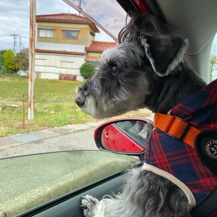 23b1fb5d eb28 48bf 82f1 fcf158004975 1702191145661