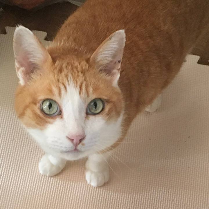 23b20aba 674f 43b3 aac6 57dc592448d8 1585206777242