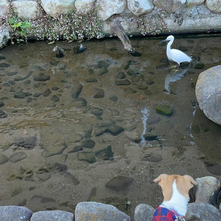 23b229a9 8ca9 4b6b 84a0 7fe1170c4db8 1670075447867