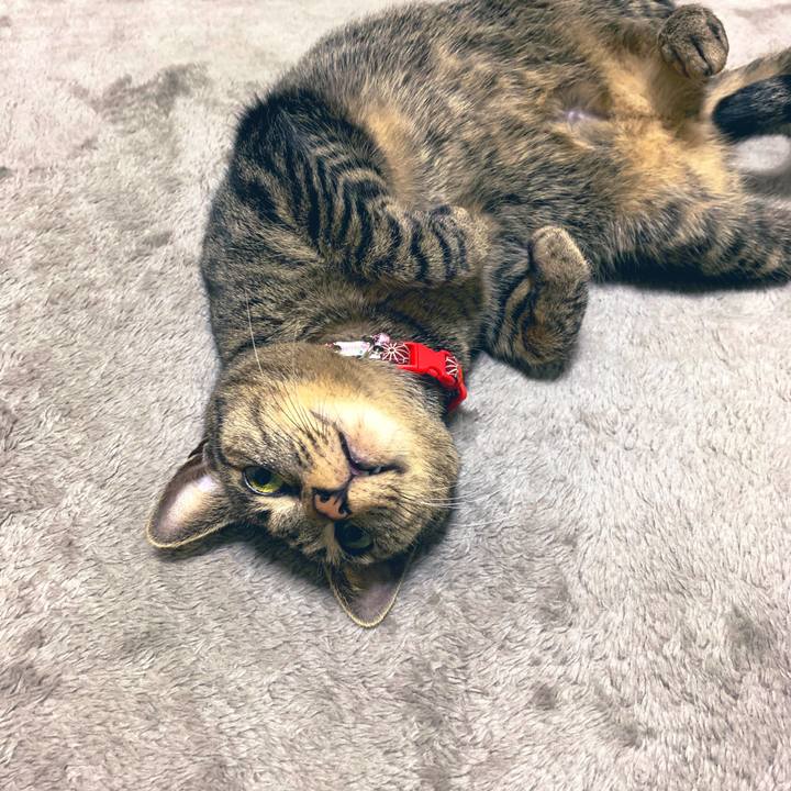 23b232d4 1cb7 4cc7 917c 09831e5a3337 1549724650619