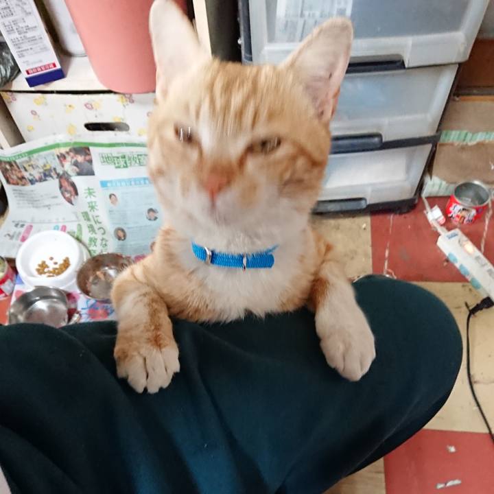 23b246ea 76df 45d3 8109 98690cf3b9e6 1555208955151