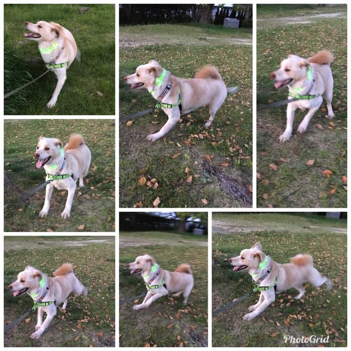 23b24acc a9e9 45bd a25e 24d0affc4f14 1524313778798