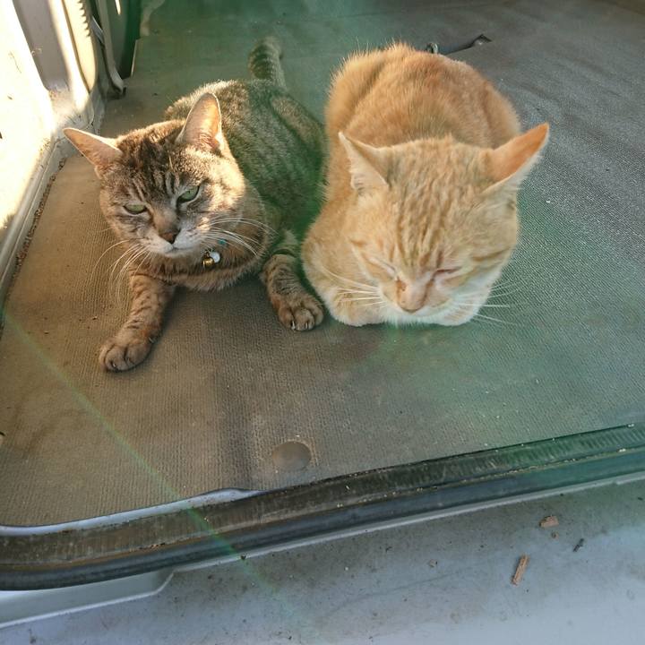 23b25cb5 8c32 4357 8f91 ac7e5bcd10db 1557651725629