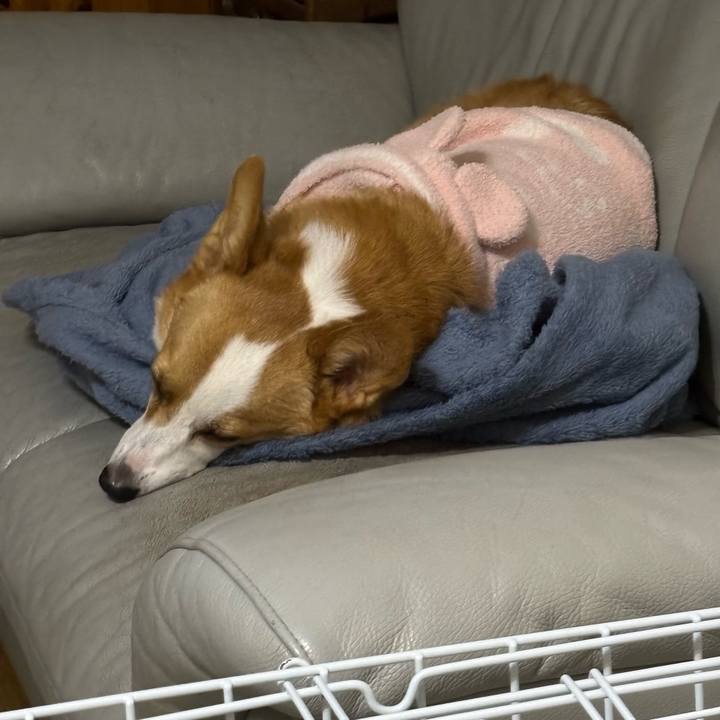 23b28e4b 2c58 486e a57d 5d17ee55ed30 1762186188252