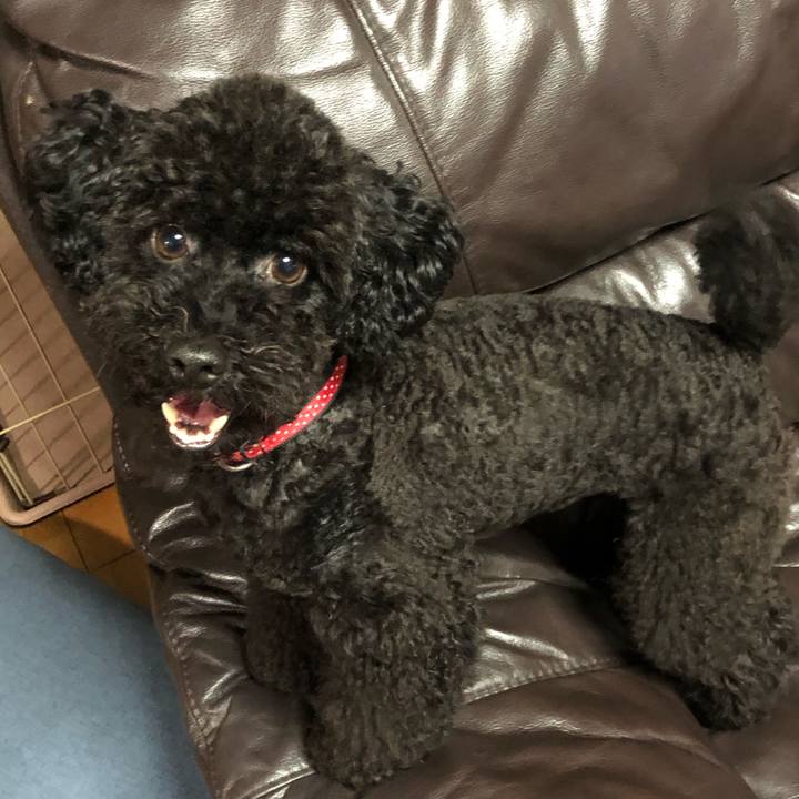 23b2a617 0c40 49de 8166 f70895e64ac6 1567121001535