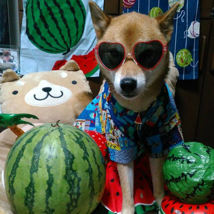 23b2a9d0 0a4d 4b0a 87f2 0ba108836f48 1596881329973