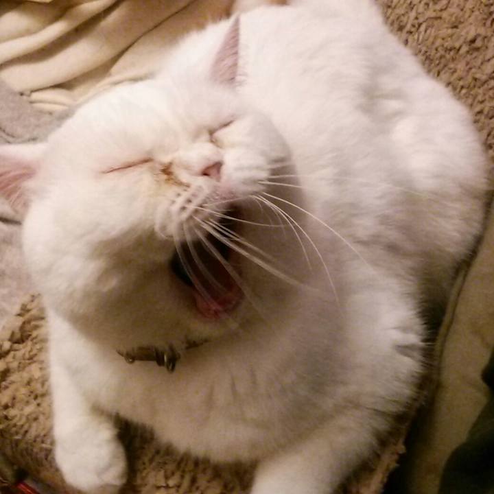 23b2ccfd c3ba 4a10 aebb 3ff9bc61d30a 1568198352076