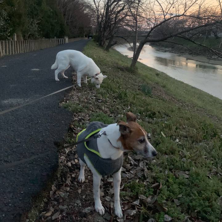 23b36134 476b 4a3a ae41 b17e2c2509b9 1550924024012