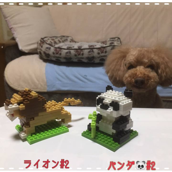 23b3777d 4bbf 4949 8534 10492a88ef37 1539163874484