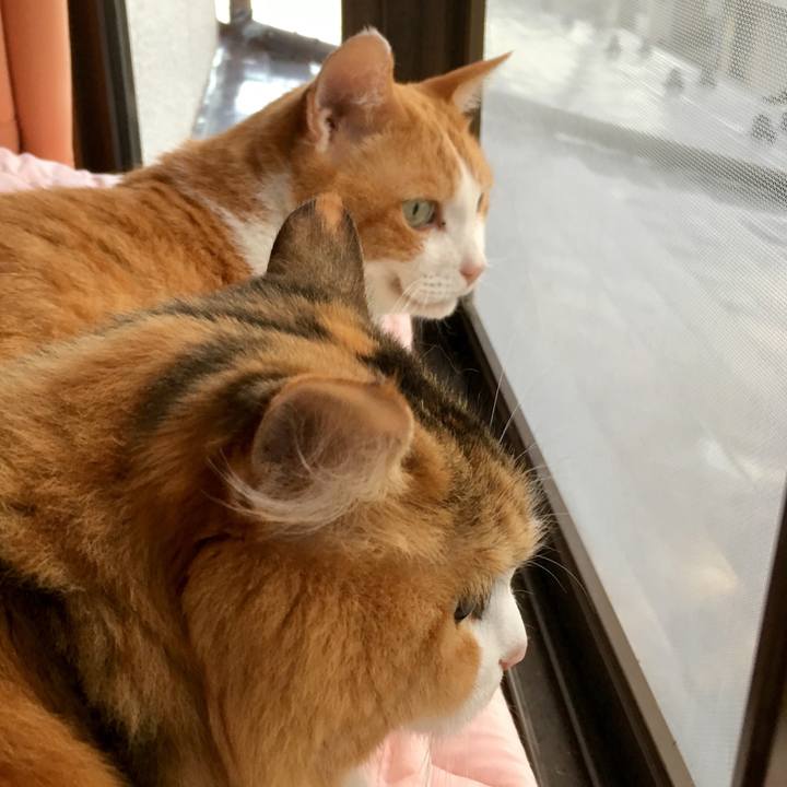 23b39230 c2d9 473e a762 6a8b569facbc 1570505857611