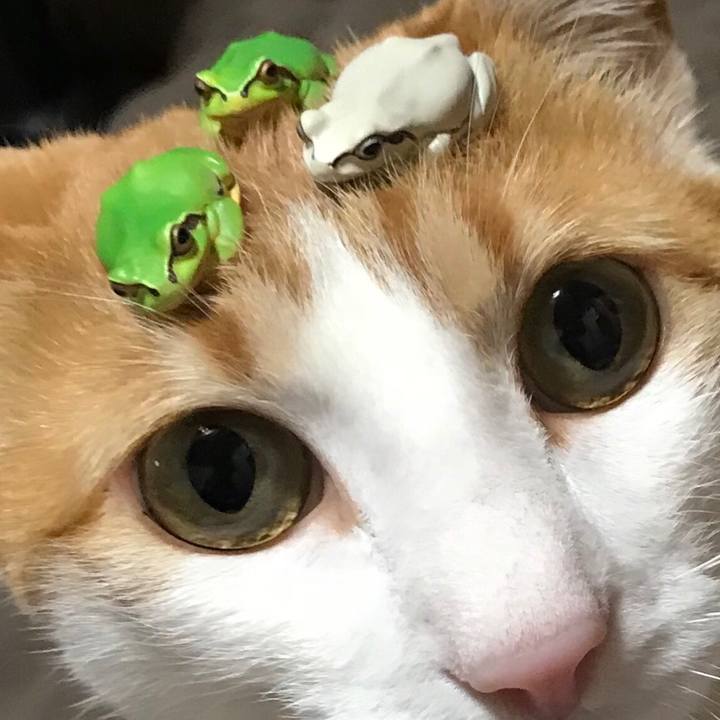 23b3a262 cbe7 4e5e a96b fc30fdc926e3 1518610279961