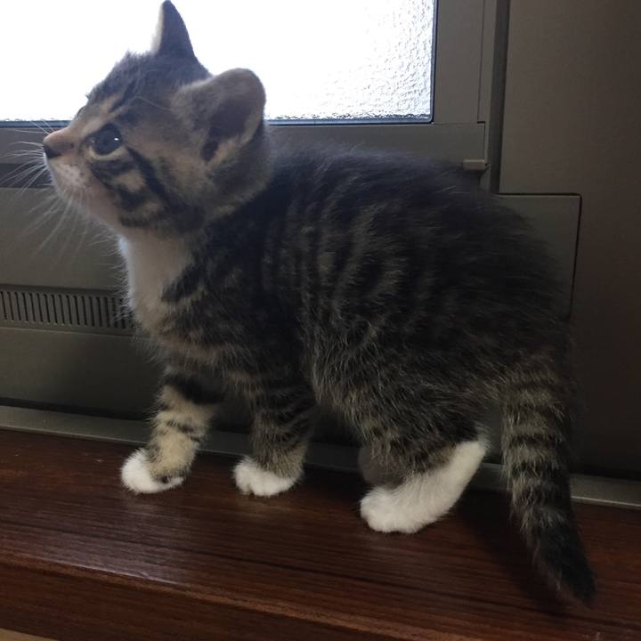 23b3cb3c 2c46 434f 859d 499b575d4cc3 1544492023325