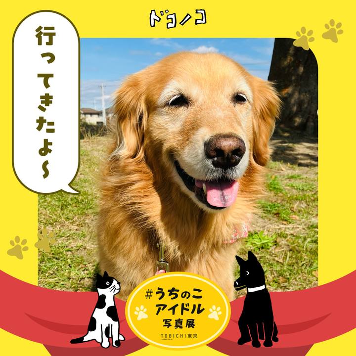 23b3e117 3816 4af4 b0dd 32de47253633 1761539114348