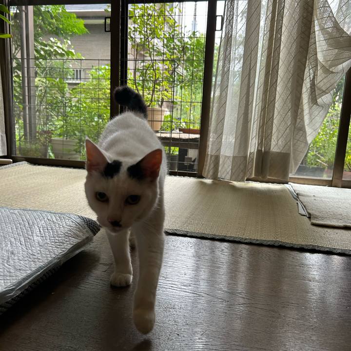 23b41277 eb64 47b2 b0bc 5600a957fb07 1752233620806