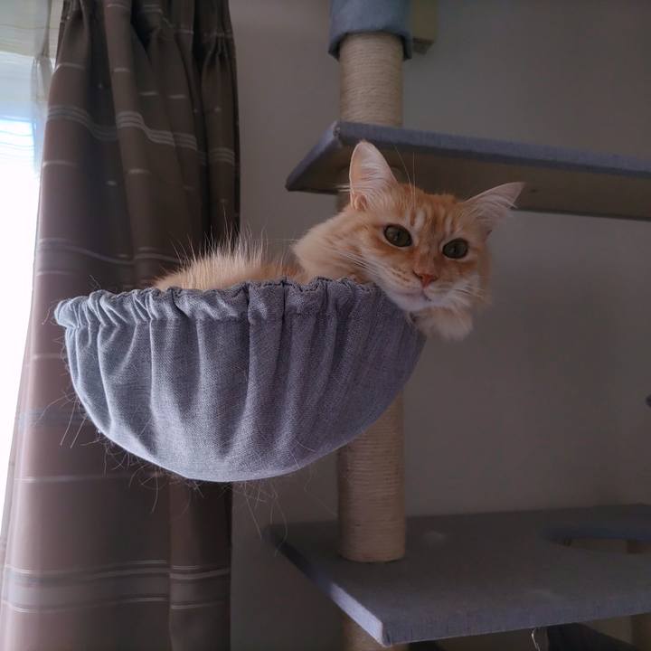 23b431f5 06ce 417f bfe0 8fe838100974 1697973493910