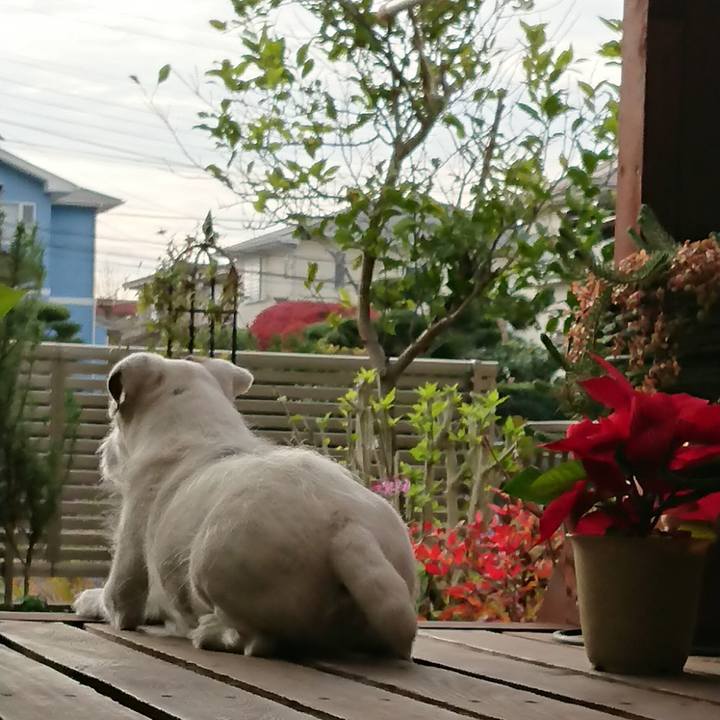 23b43705 f3b2 4df8 9e07 c837c13d11ad 1544052623305