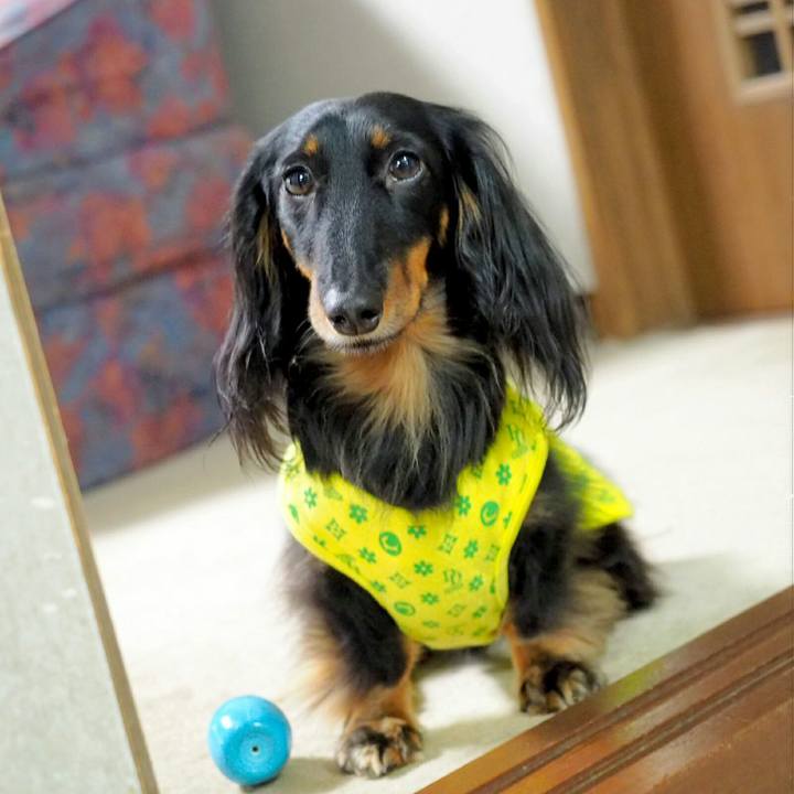 23b44b7a fec3 4d8f 8f36 10b3d5081cea 1543456099907