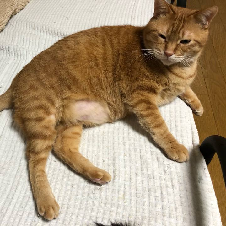 23b46b10 4980 471a a468 3d5fbc6fcc23 1646514924685