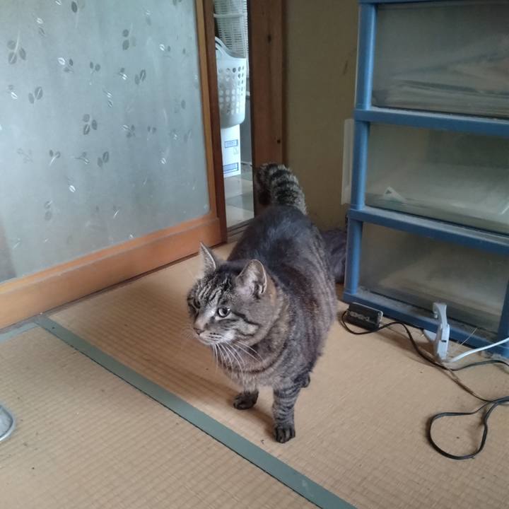 23b485a7 0111 4438 b8e4 4794535073ee 1715983896276