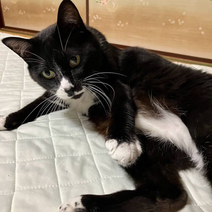 23b491f1 e0c4 4fac a04b f9a88218f645 1723605131843