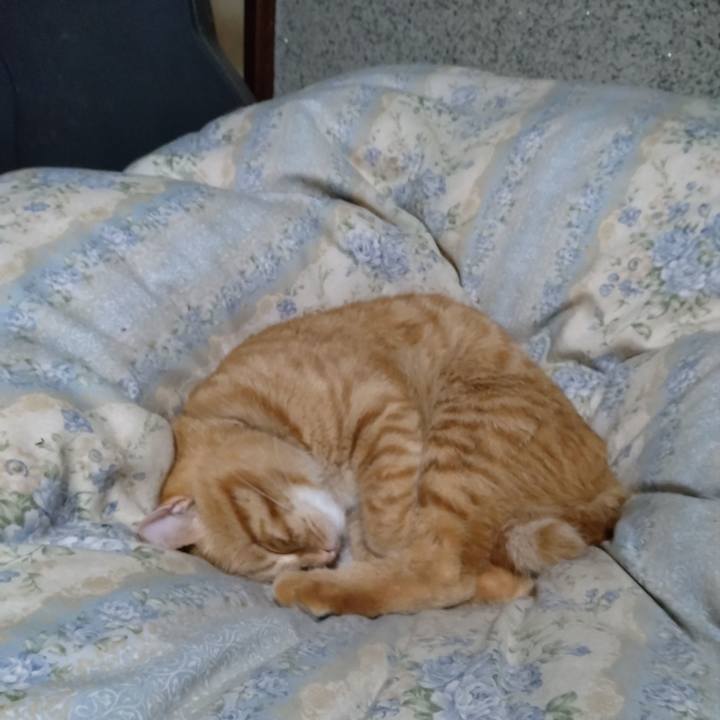 23b4c6b1 f4b3 41e4 b07b 9b436500cf77 1666270398358