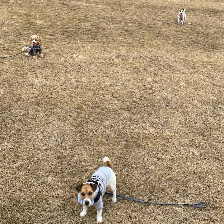 23b4d4ee b8bc 4e27 8641 e334af22a8ec 1611302784220