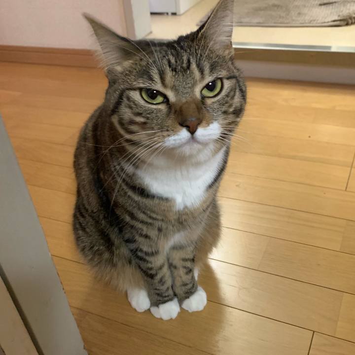 23b512f5 3dcd 4500 9cdd acae0c446449 1575419660950